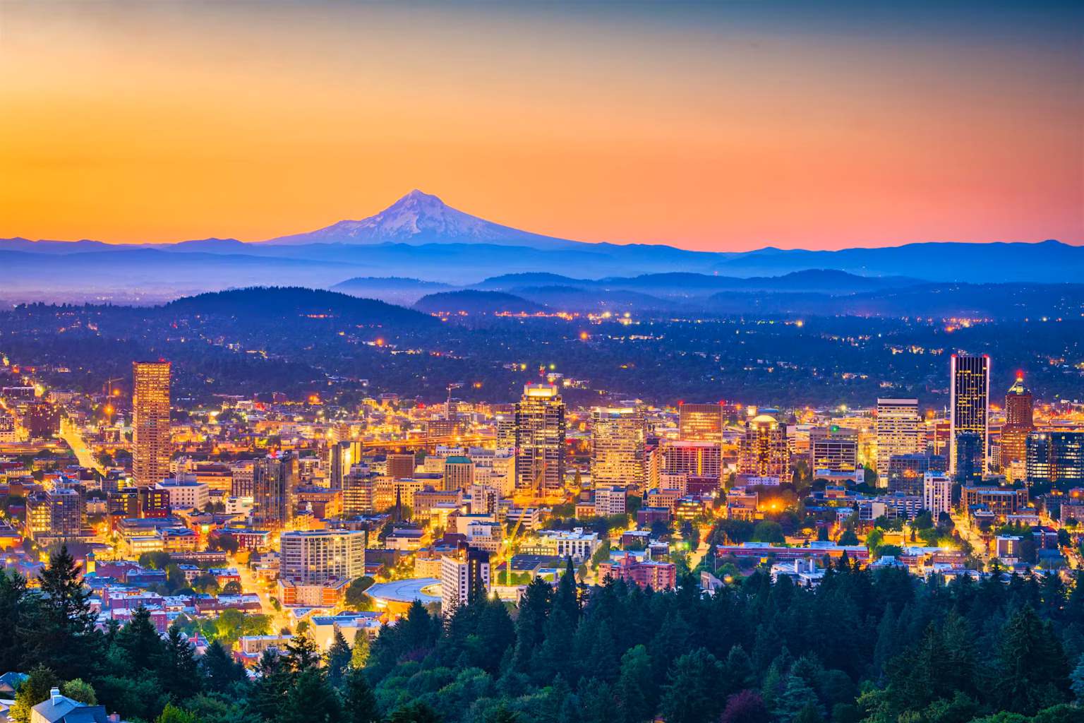 Portland Overview img