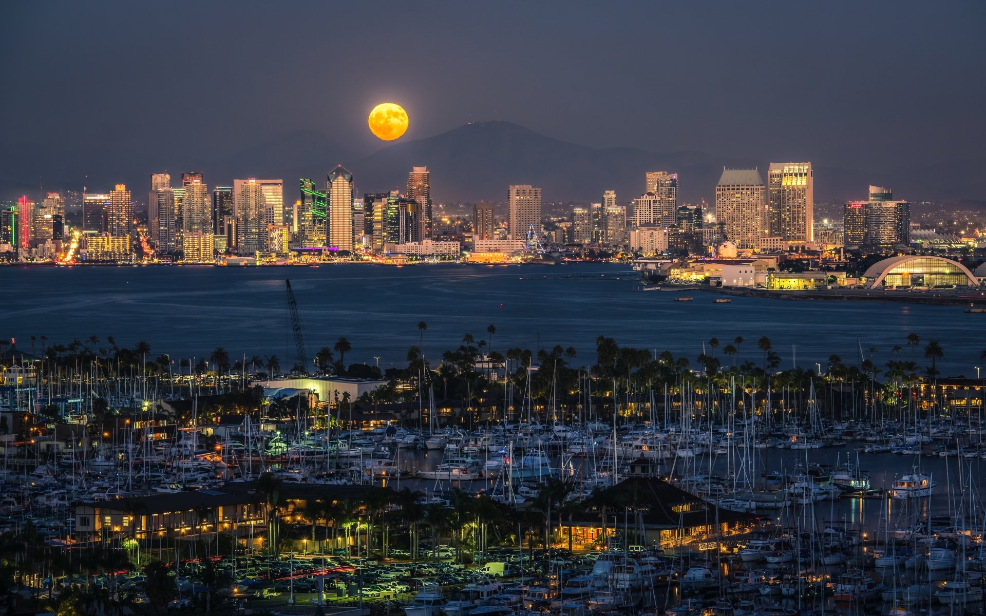 San Diego banner img