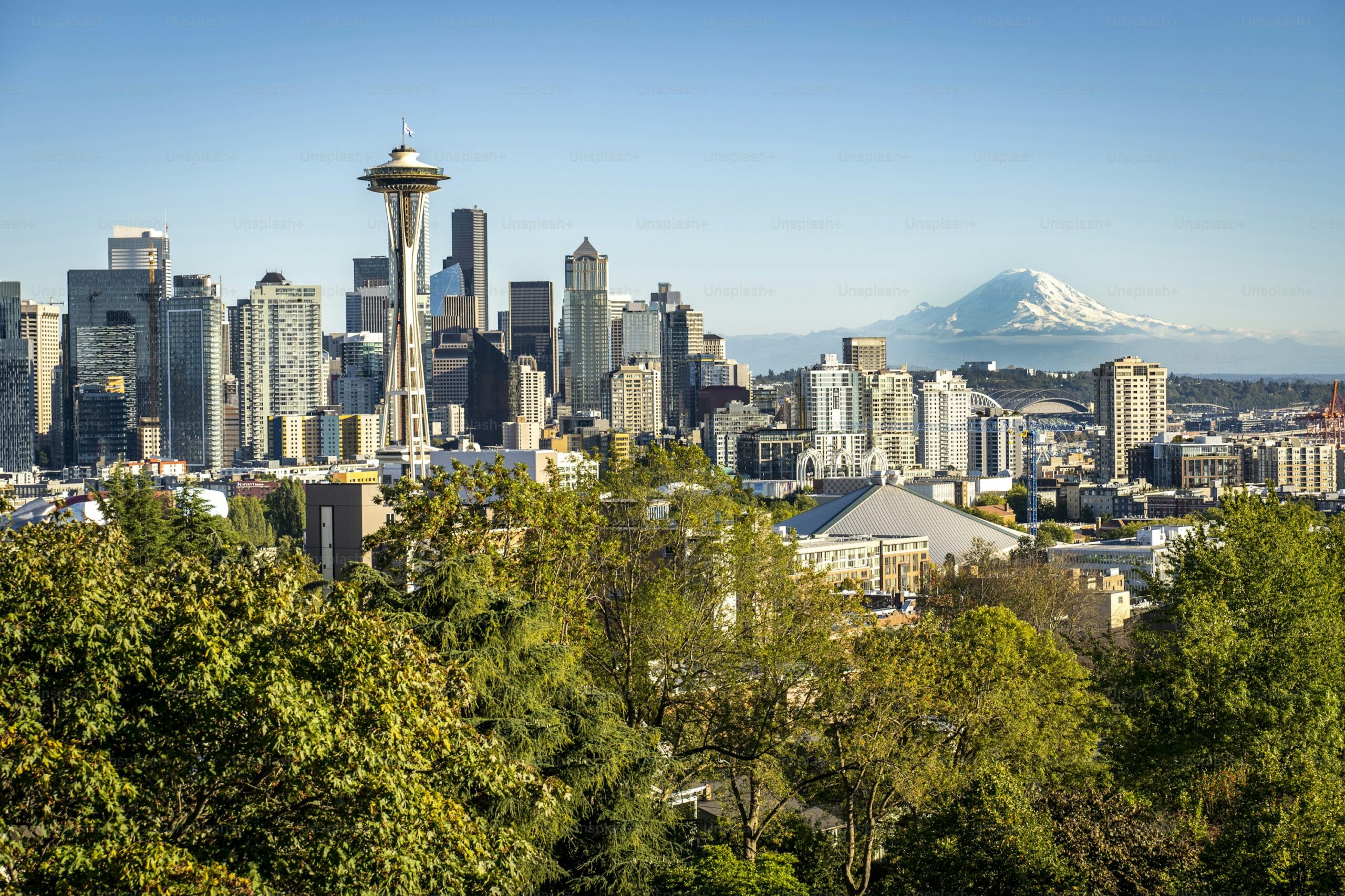 Seattle banner img